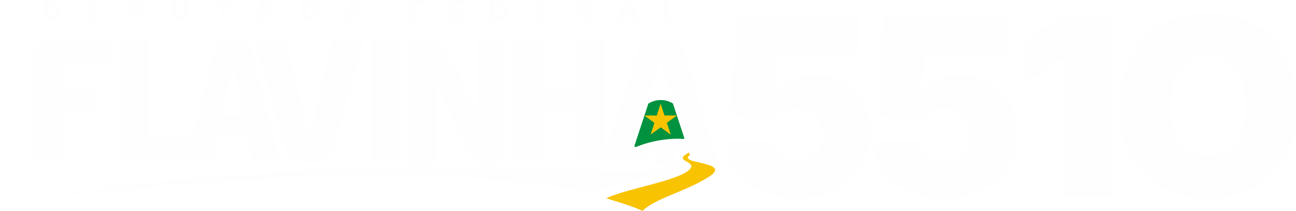 Deputada Federal Flavinha 5510